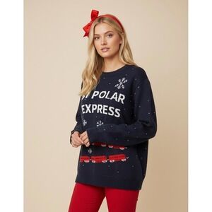 NEW Bi Polar Express Christmas Sweater‎ Size Medium Navy Blue Holiday Funny